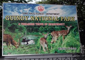 Guindy National Park